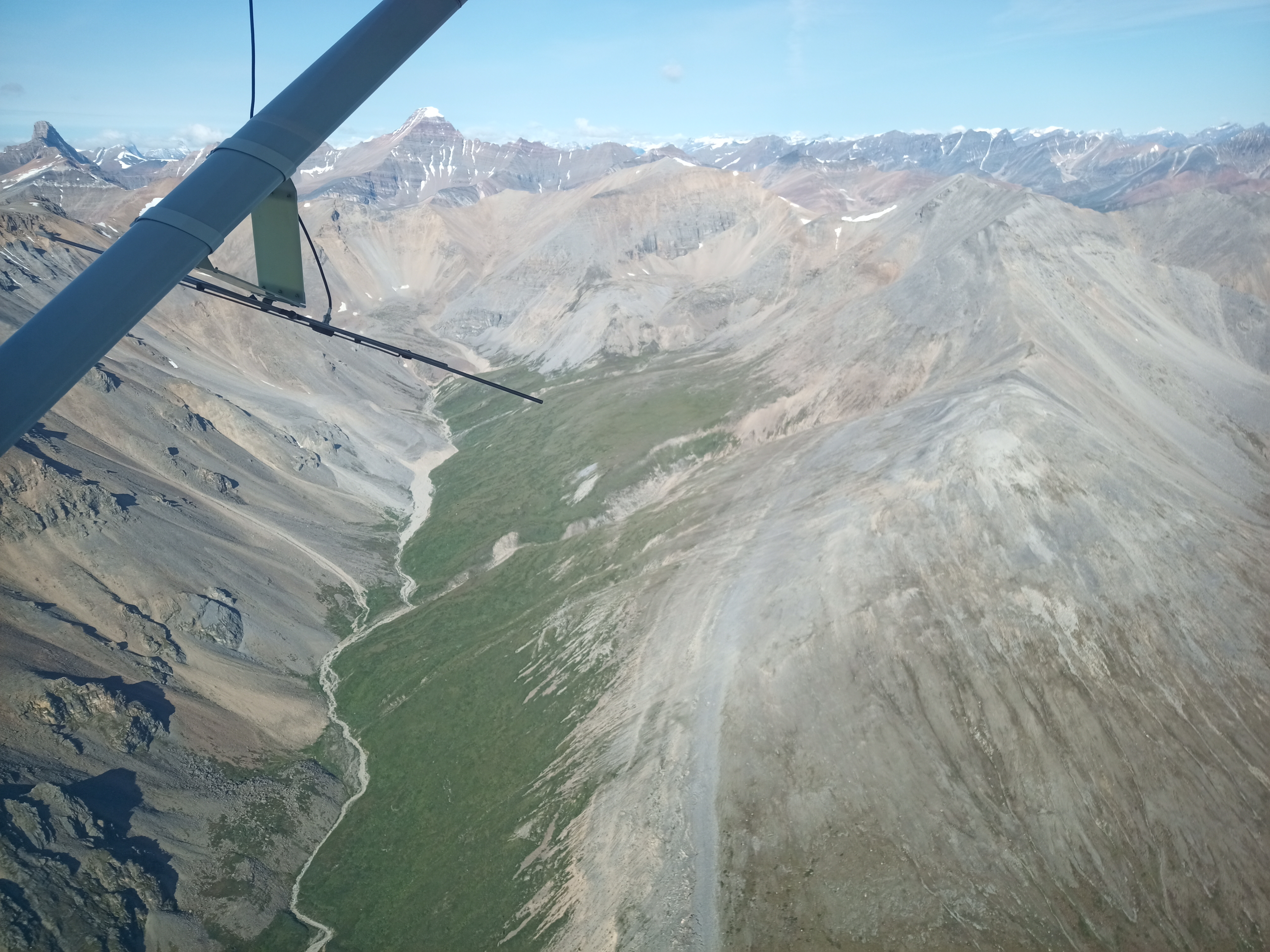 Caribou telemetry in the Muskwa-Kechika Management Area