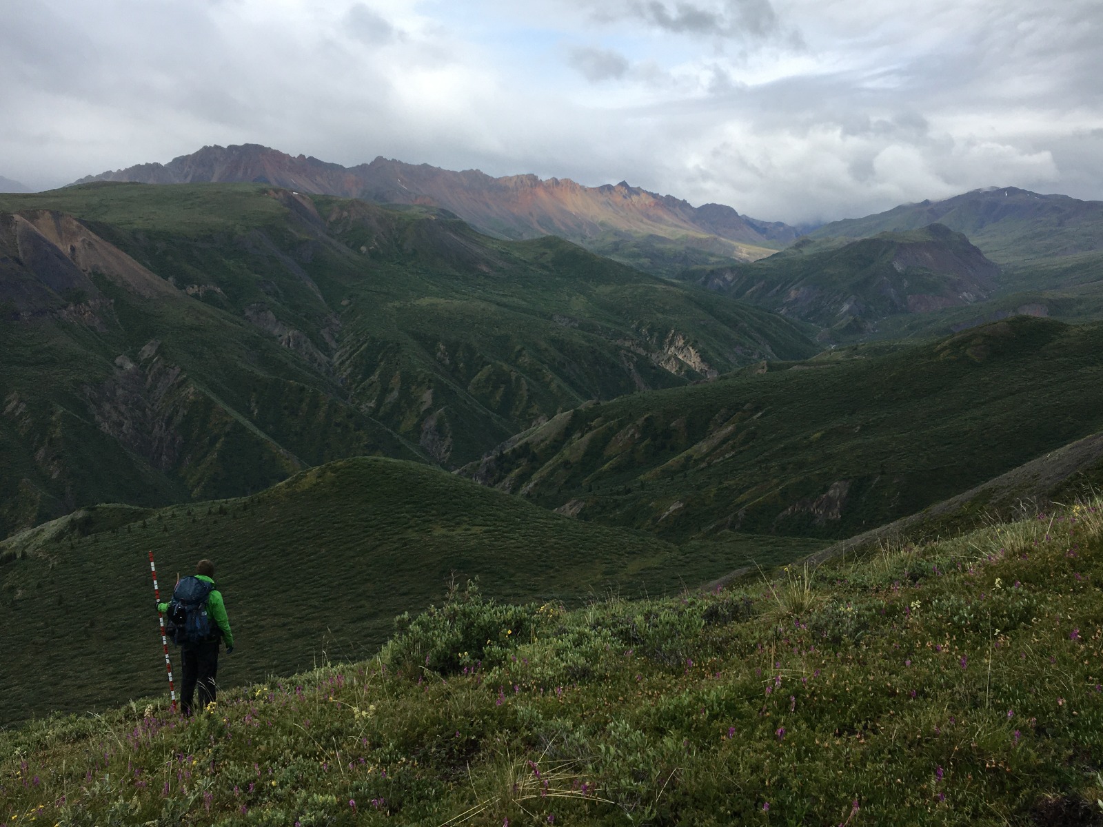 Anna collecting bird and shrub data on Yukon mountains